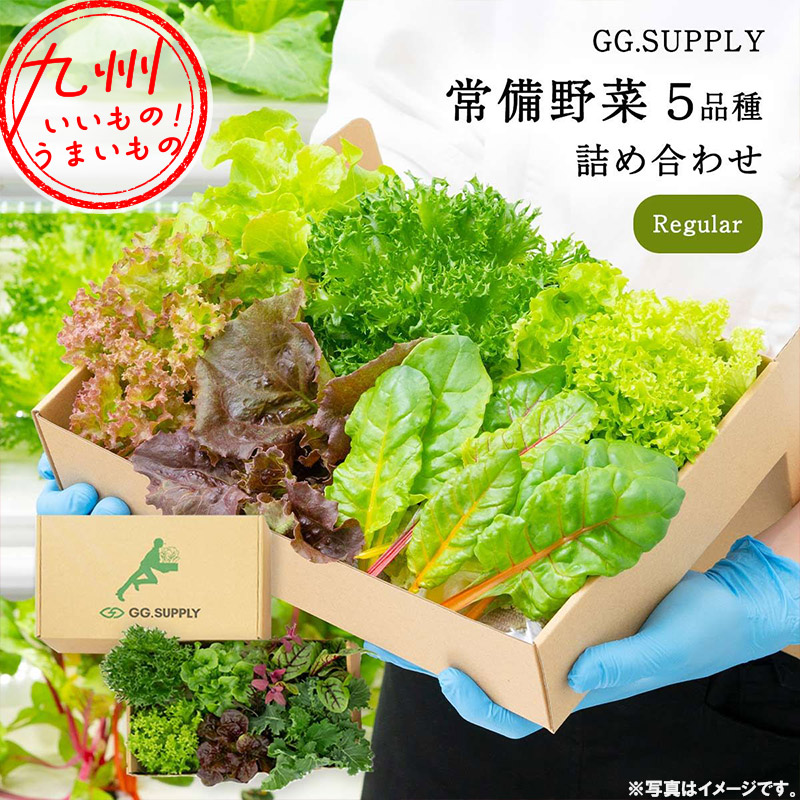 GG.SUPPLY Regular 常備野菜 5品種 詰め合わせ