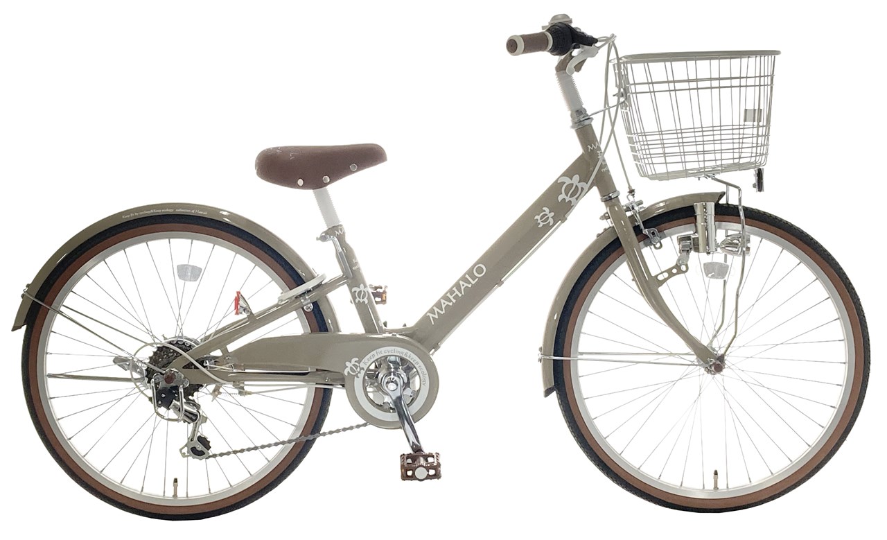 26インチ 婦人用 自転車 イオン 丸石自転車