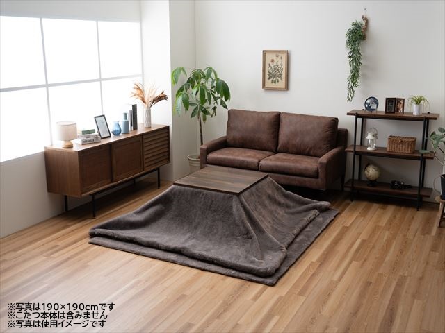 イケヒコ なめらかタッチこたつ掛け布団 ファリー セピアブラウン 190