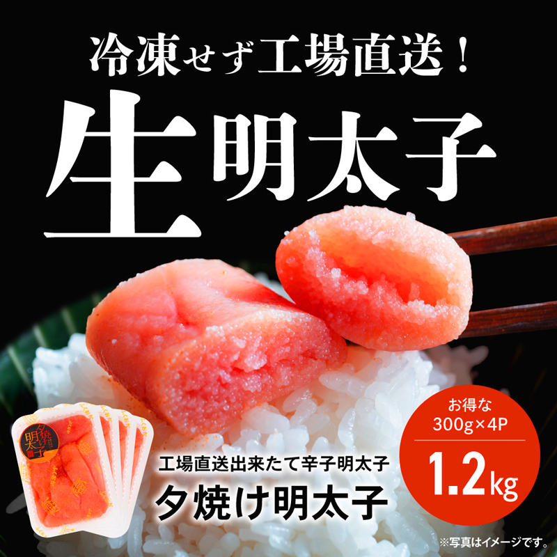 明太切れ タコ足 ぷりん メンタイ切れ タコアシ プリン-purineヨウセンヨー 明太子 切れ子」の