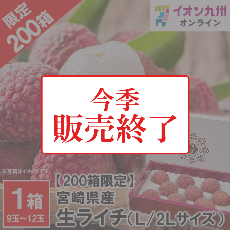 200箱限定】宮崎県産生ライチ 化粧箱入り | イオン九州オンライン
