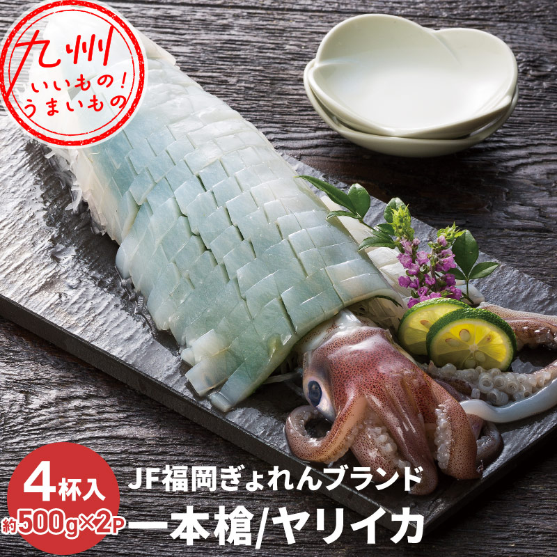 JFふくおか 一本槍いか(剣先いか) 2杯パック(約500g)×2 (計4杯入)