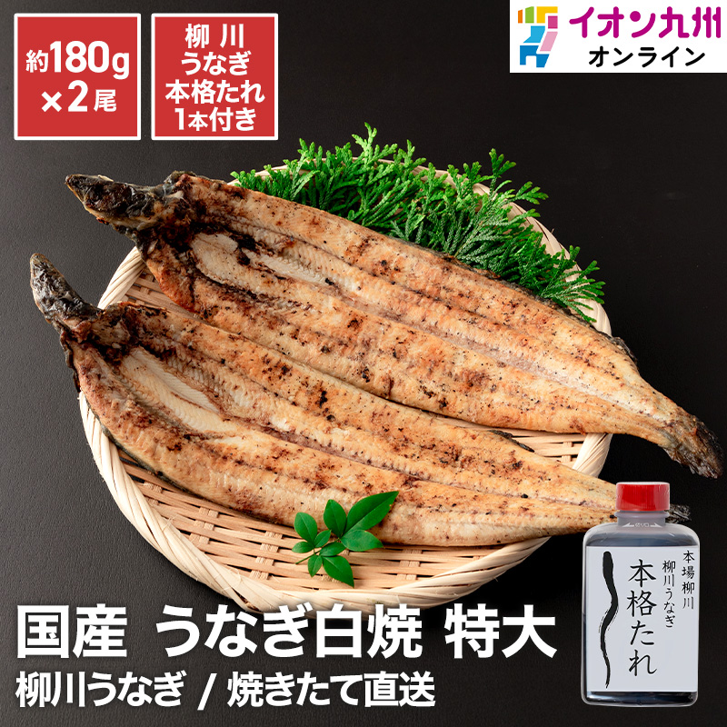 焼きたて直送 国産うなぎ白焼き2尾 特大約180g（柳川うなぎ本格