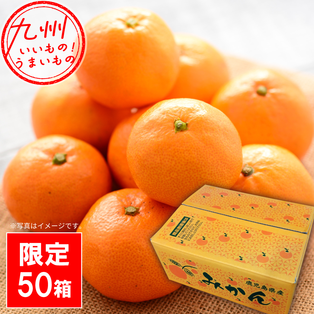 グルメコーヒー７種類セット マンデリン通にもおすすめ計1.7キロ　スペシャルティコーヒー　プレミアムコーヒー原料使用　の高級コーヒー 満天珈琲オリジナルマンデリン コーヒー豆 ブレンド 1.0