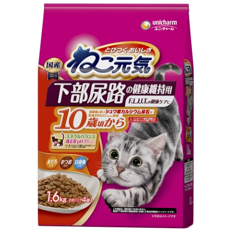 キャットフード2kg×4 ELMOprofessional Amazon.co.jp: エルモ プロフェッショナーレ プレミアムフード