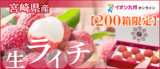 宮崎県産生ライチ 化粧箱入”
