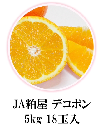 JA粕屋デコポン