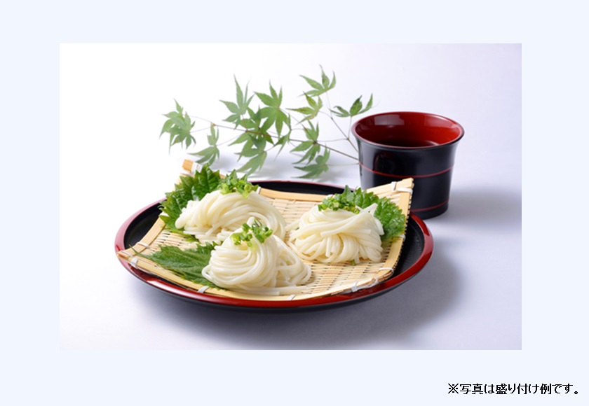 冷凍五島うどん七椿国産小麦 MR-08 マルマス | 【公式】イオン九州