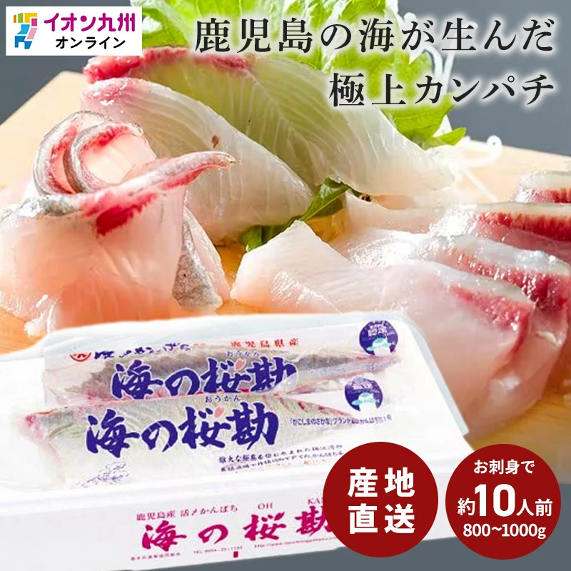 鹿児島カンパチ海の桜勘スキンレスロイン半身分 垂水市漁業協同