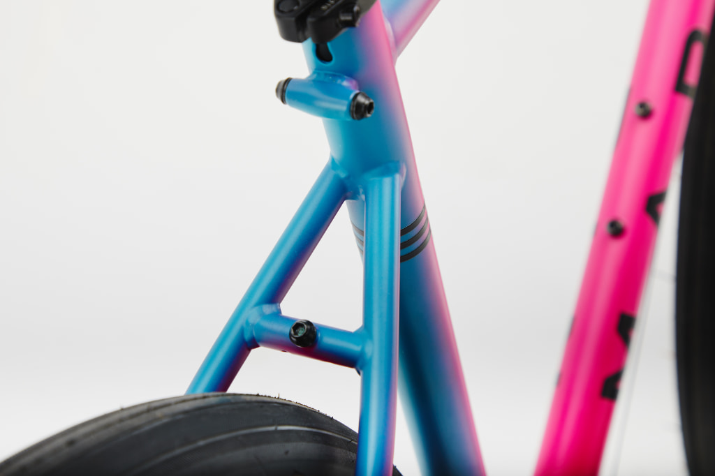 マリン MARIN25 NICASIO SE LTD(ニカシオ) 50 MAT NEON TURQ/PINK