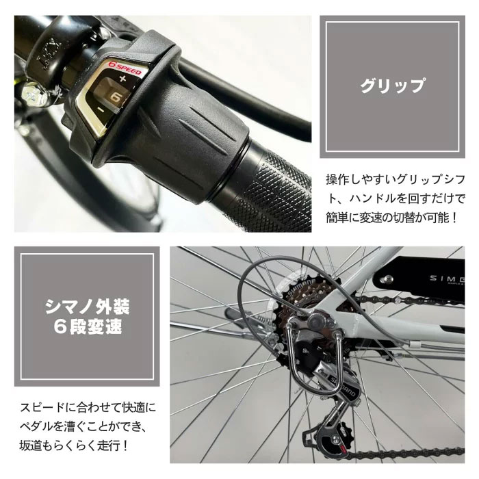 5台限定】エンドウ SIMGANT(シンガント) 26型 ベージュ 外装6段 LED