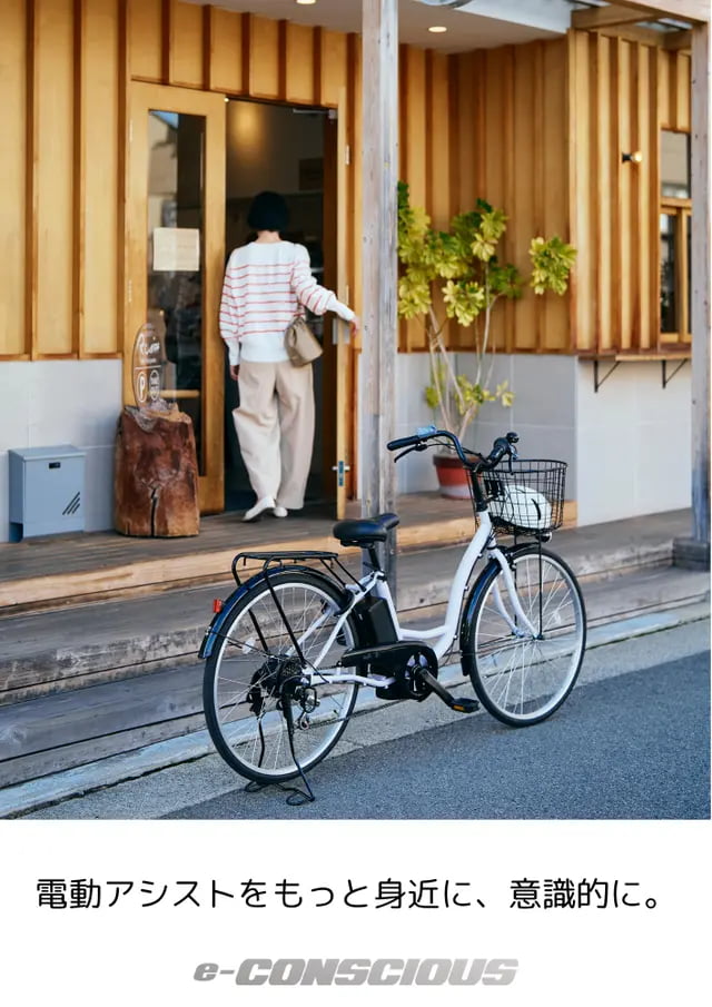 10台限定】サイモト イーコンシャス ココット 24型 マットチェリー
