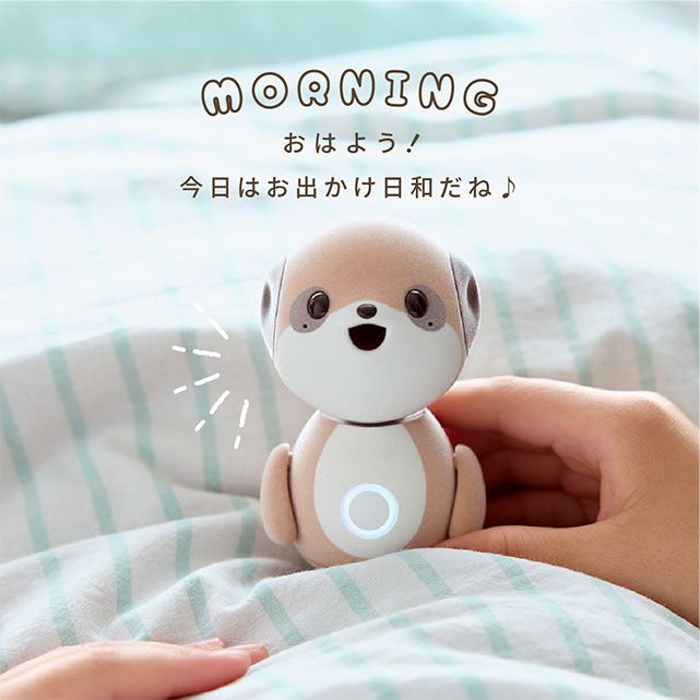 SHARP コンパニオンロボット「ポケとも」 SR-C01M-W | 【公式】イオン