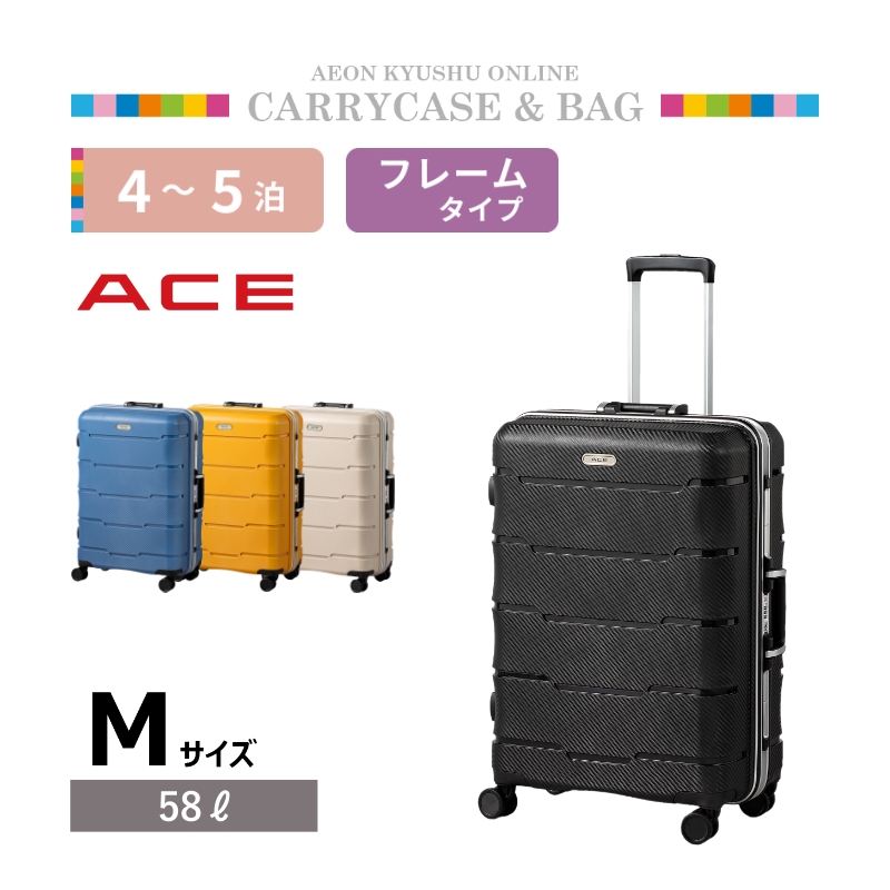 ラストワン賞　全揃い　超美品　箱、ケース有り ACE セクションフレームキャリー M ブラック | 【公式】イオン九州