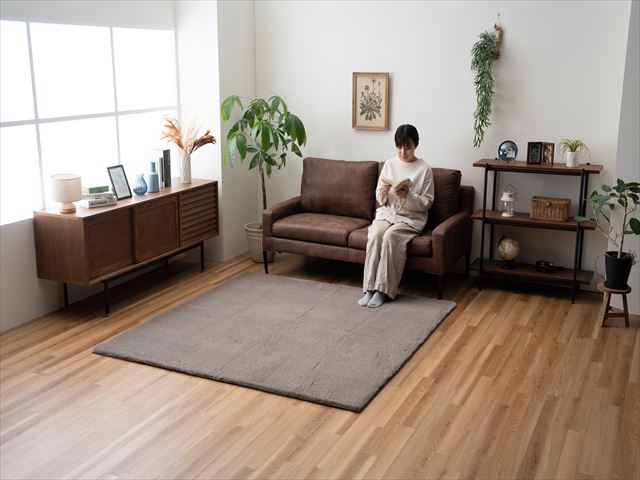 イケヒコ なめらかタッチラグ ファリー セピアブラウン 180×180cm