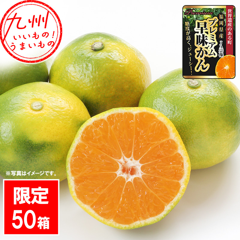 姫の神みかん（早味かん）約3kg箱(M-Sサイズ)