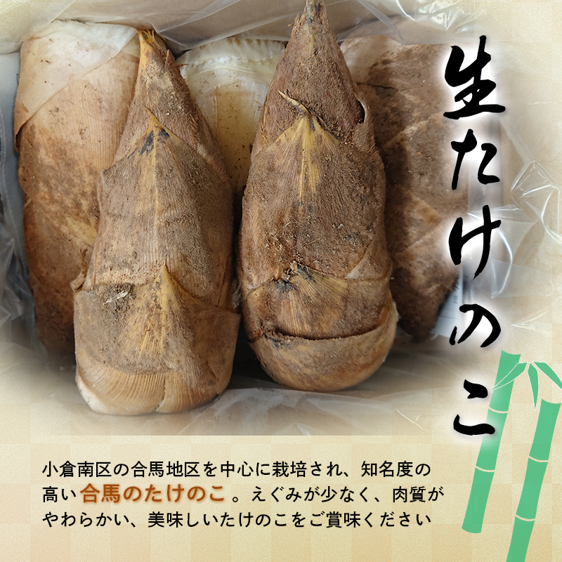 食品 合馬たけのこ 2kg 2〜3本入り