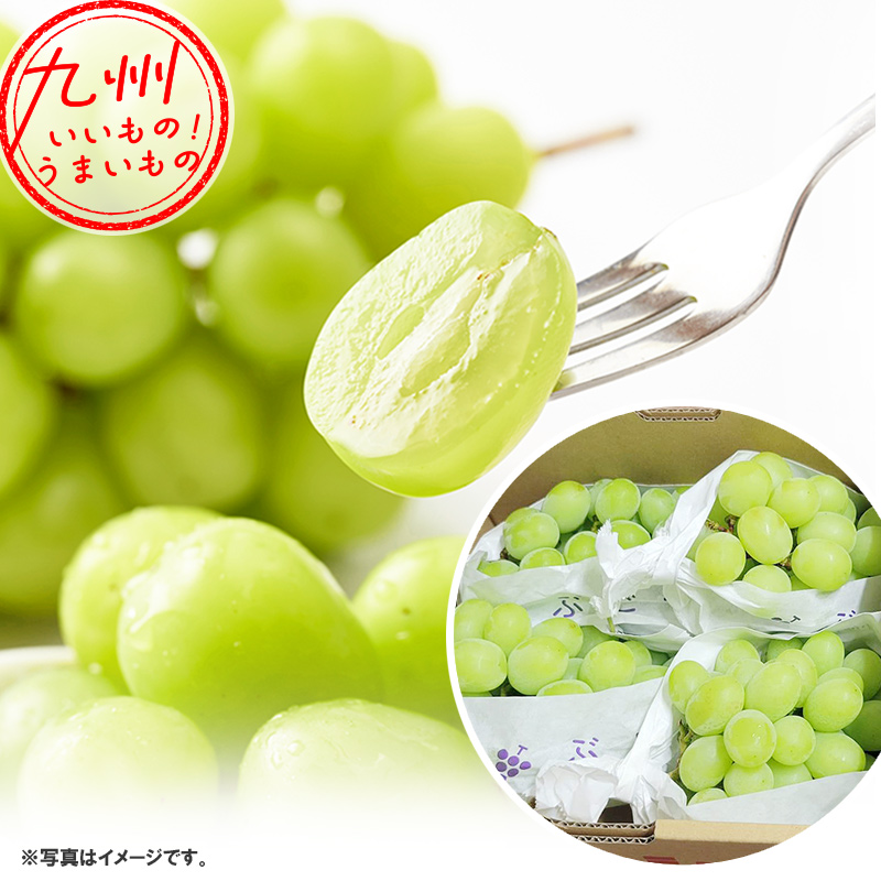 佐賀県産 シャインマスカット 2kg 4～5房 JA伊万里 | 【公式】イオン
