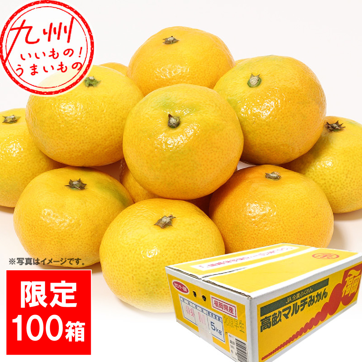 福岡県産（JA全農ふくれん）糸島みかん（北原早生）1箱5kg