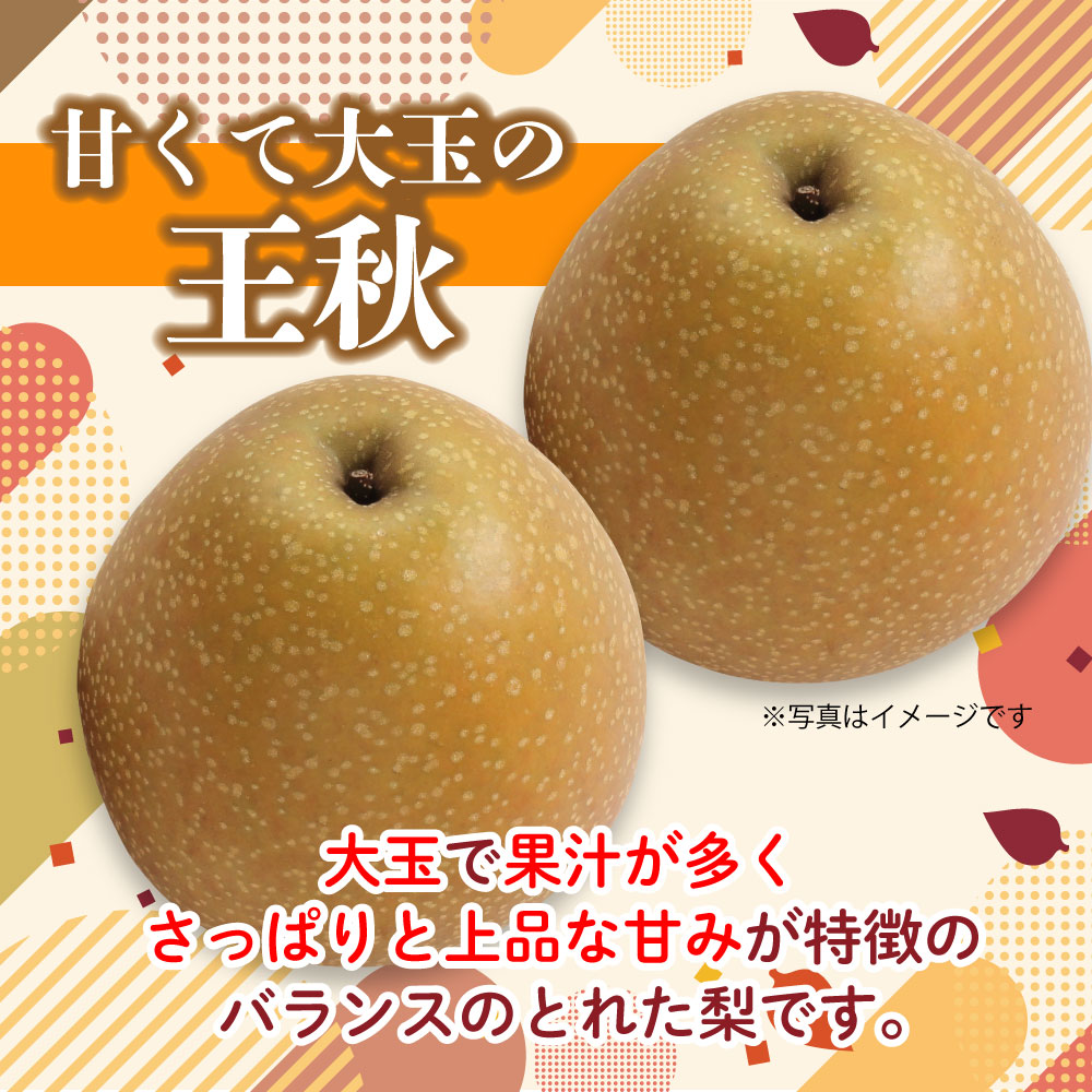 ジューシーですっきりした甘さ！ 王秋 約1.7kg（4玉） 霧島さくら