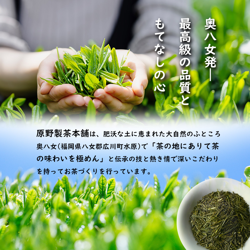 原野製茶本舗 上煎茶 100g | 【公式】イオン九州オンラインストア・通販