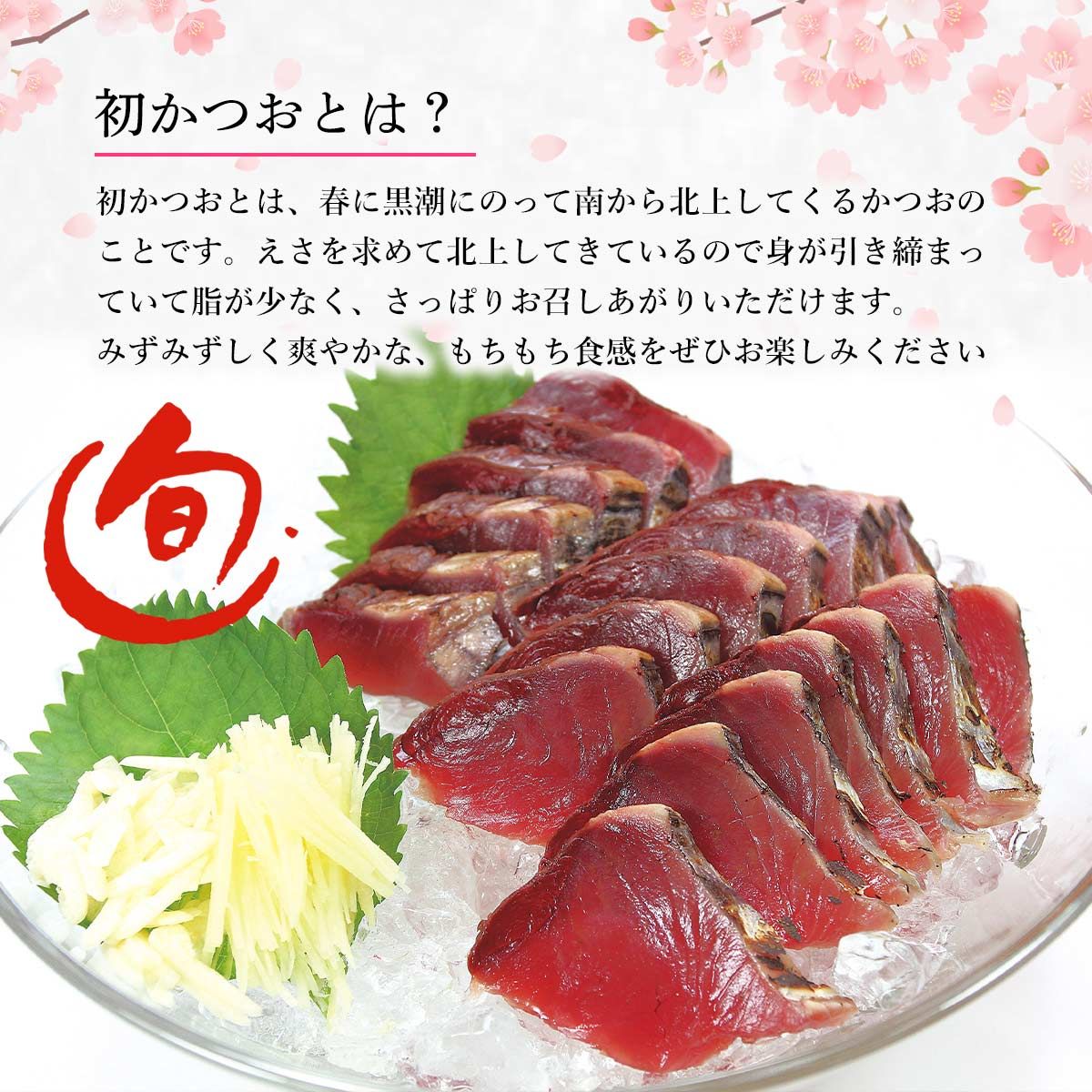 初かつお 3kg 宮崎日南産 一本釣り | 【公式】イオン九州オンライン