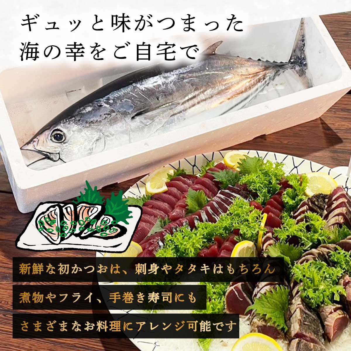 初かつお 3kg 宮崎日南産 一本釣り | 【公式】イオン九州オンライン