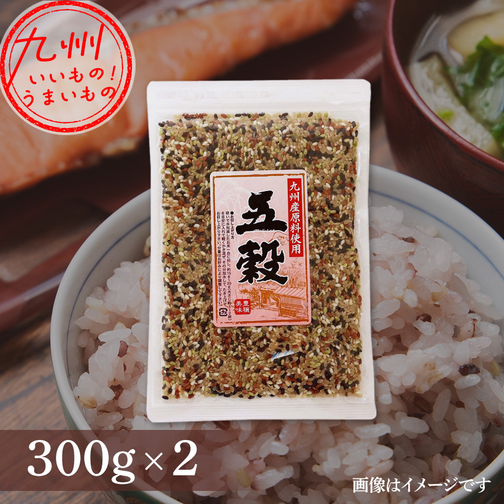 九州産原料使用 五穀 260g(玄米 229g、もち精米 31g)×2 | 【公式