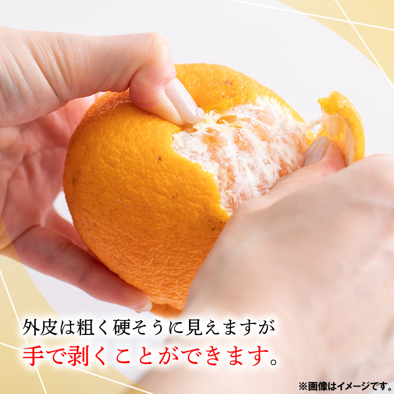 デコポン3kg | 【公式】イオン九州オンラインストア・通販