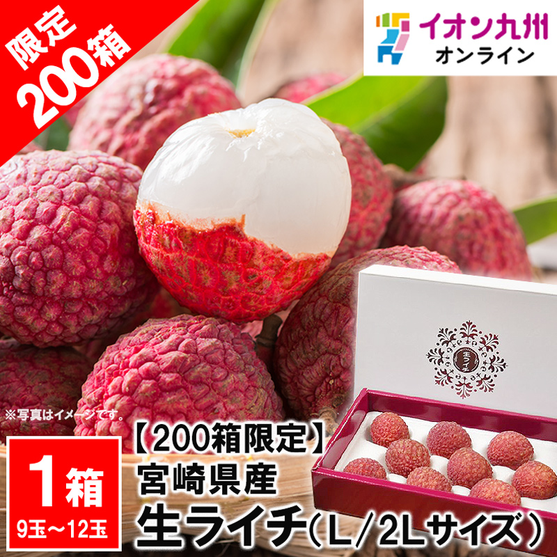 宮崎県産生ライチ　化粧箱入り