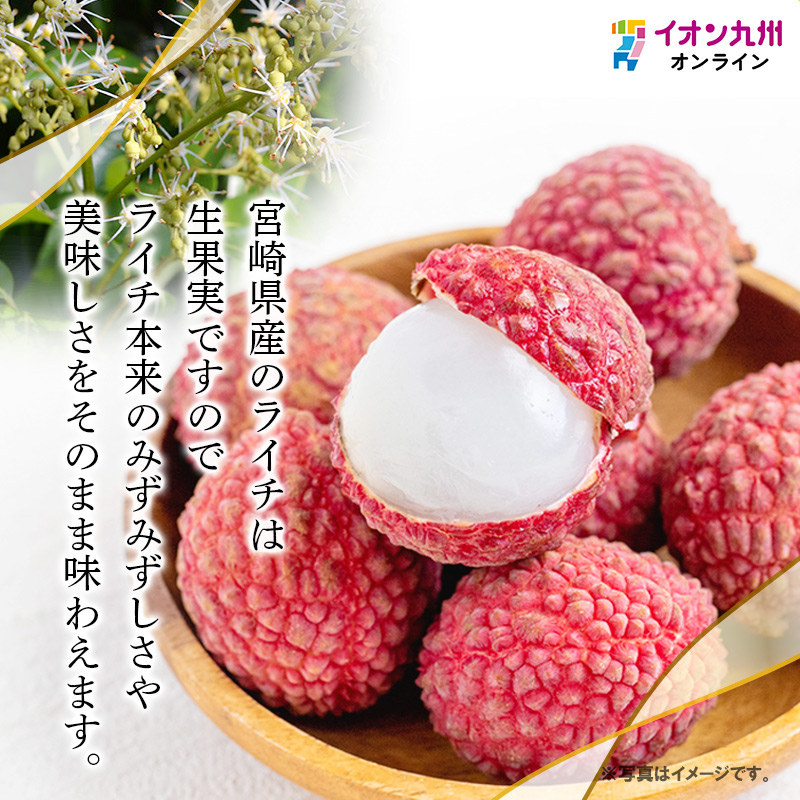宮崎県産ライチ　化粧箱入り