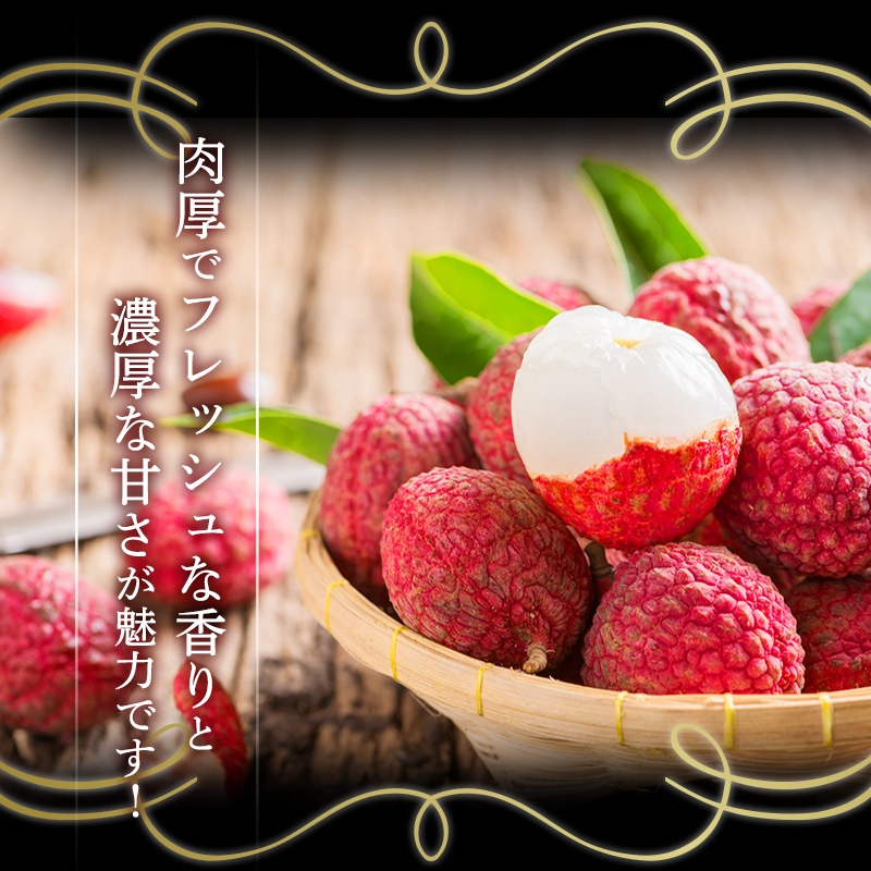 宮崎県産ライチ　化粧箱入り