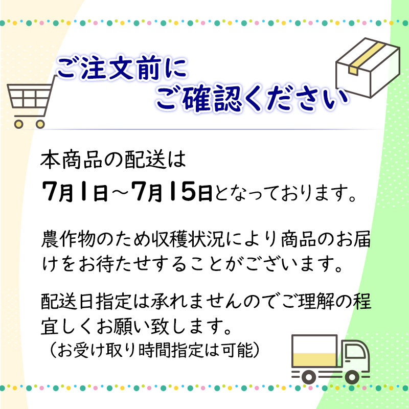 宮崎県産ライチ　化粧箱入り