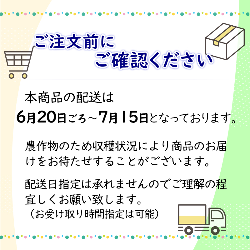 宮崎県産ライチ　化粧箱入り