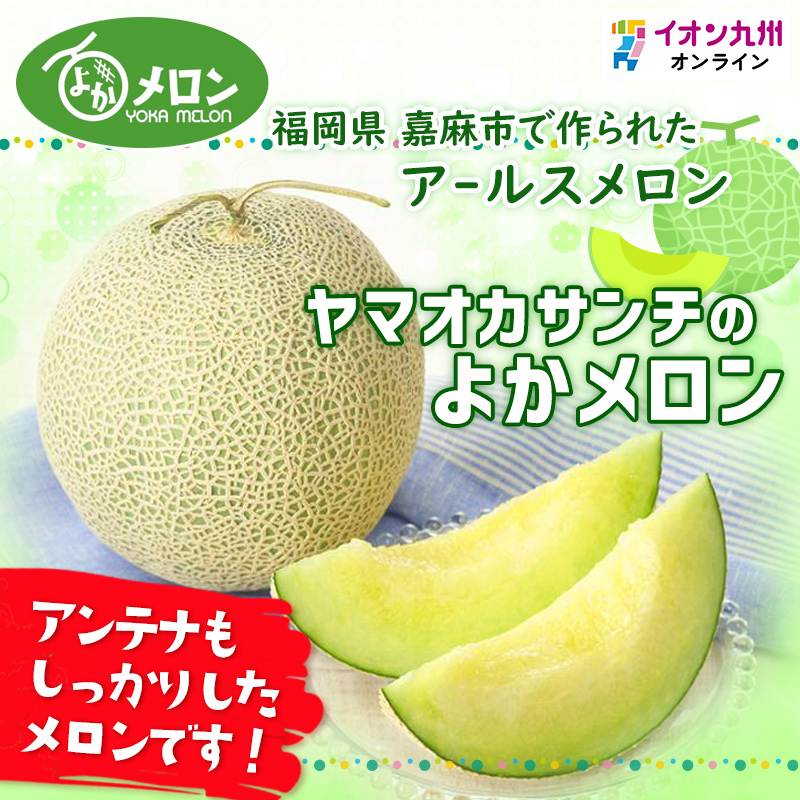 福岡県嘉麻市産 ヤマオカサンチのよかメロン (品種
