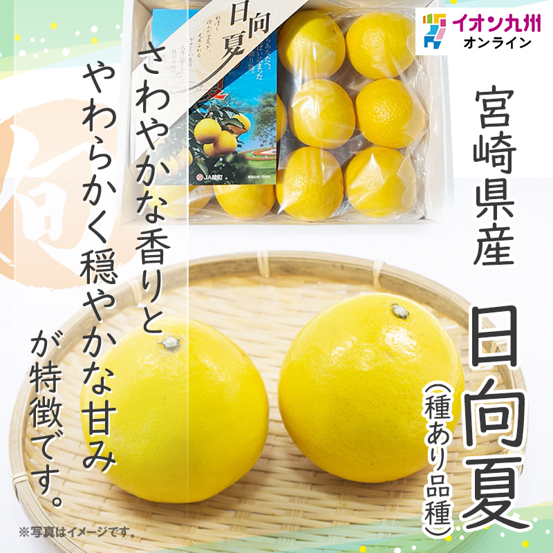 2,000円 – 果樹園そら