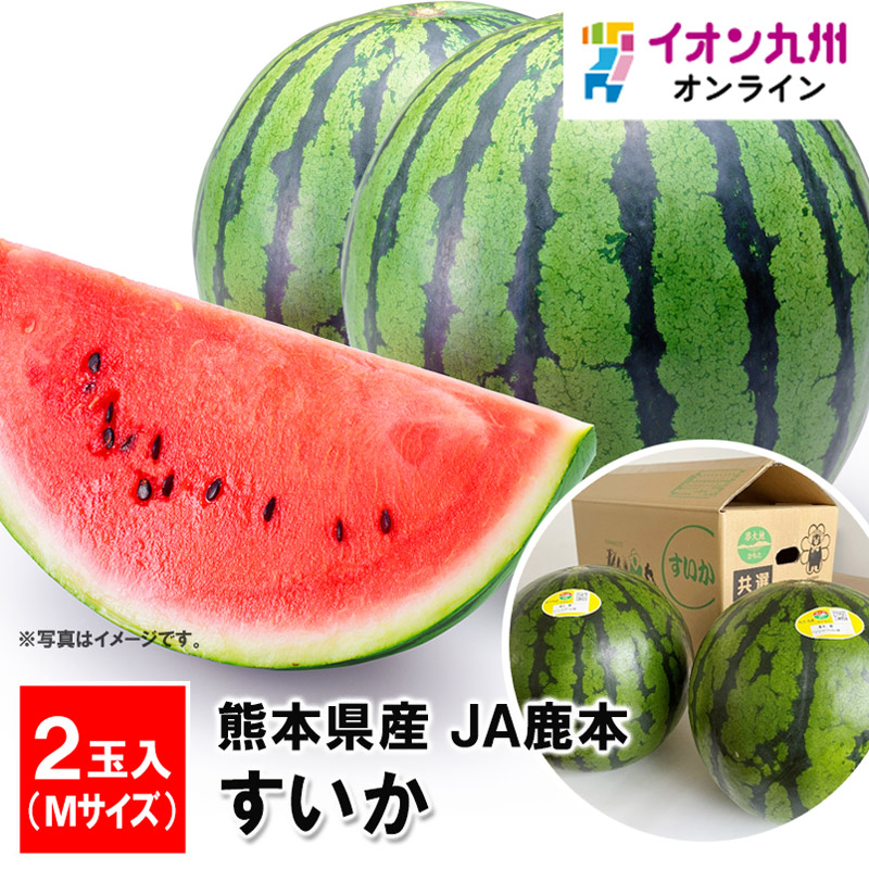 熊本県産　ＪＡ鹿本出荷　すいか