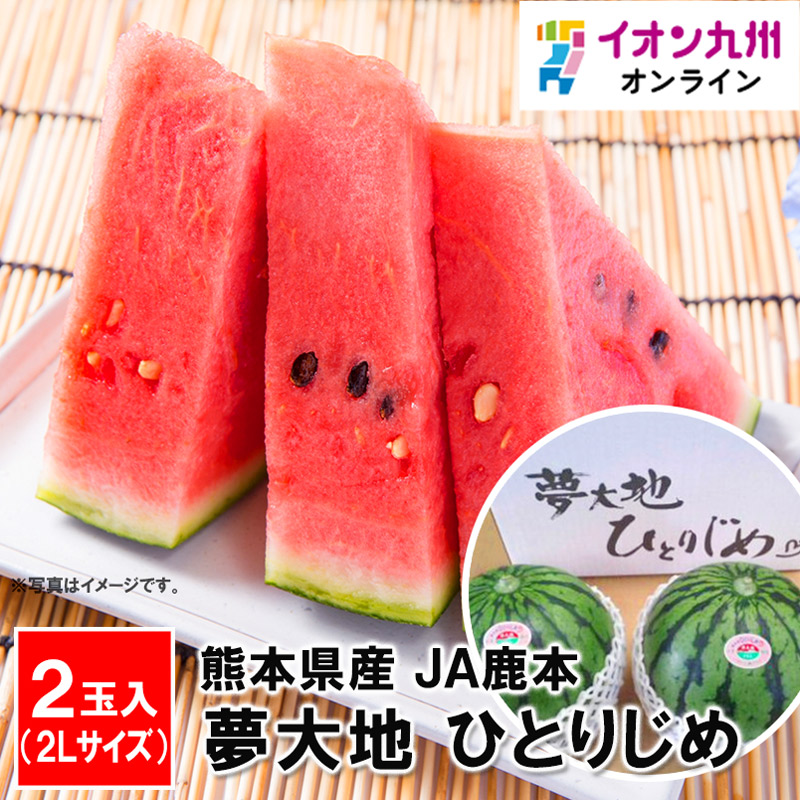 熊本県産　夢大地　ひとりじめ