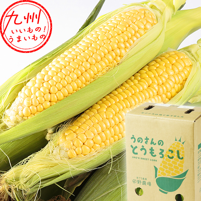 大分産 卯野農園すごあまこーん3.5㎏（10～12本）