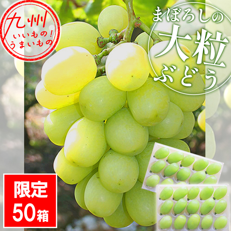 珍しい高級品種！【天山ぶどう】9～15粒(400g）霧島さくらフルーツ