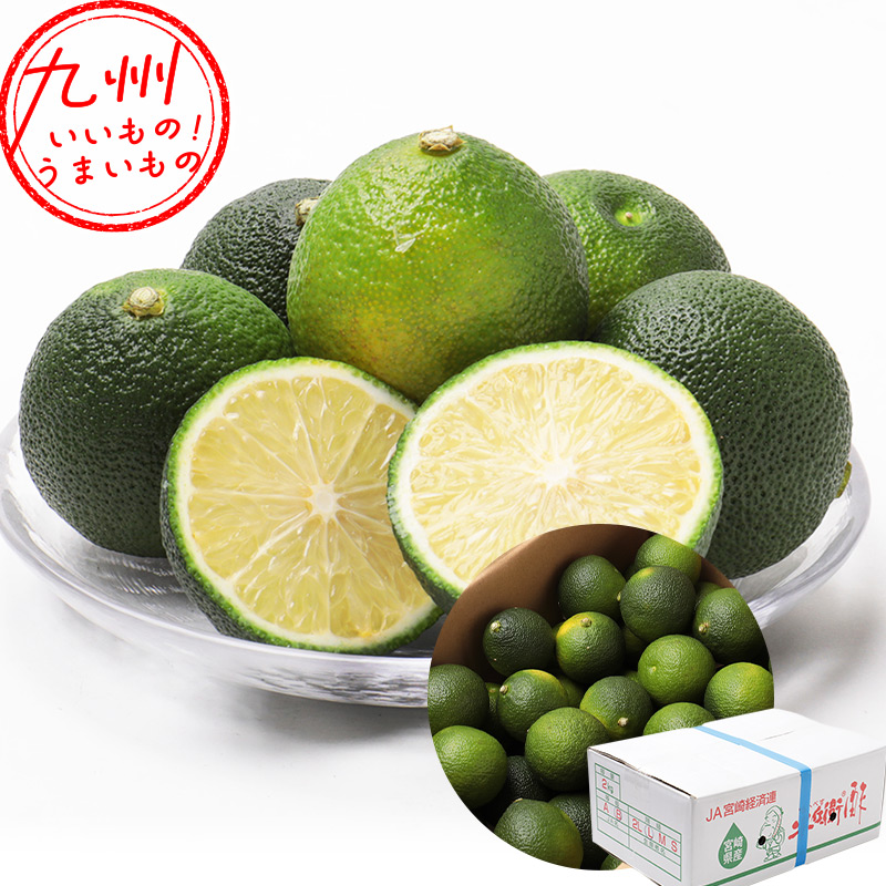 宮崎県産 へべす 2キロ M〜Lサイズ B品 宮崎県産 訳ありへべす 2kg JAみやざき | 【公式】イオン九州