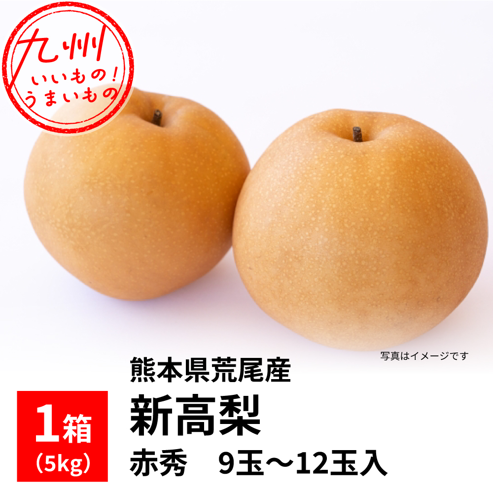 新高梨(熊本県荒尾産)1箱(5kg) 赤秀 9玉~12玉入 | 【公式 新高梨(熊本県荒尾産)1箱(5kg) 赤秀 9玉~12玉入 | 【公式