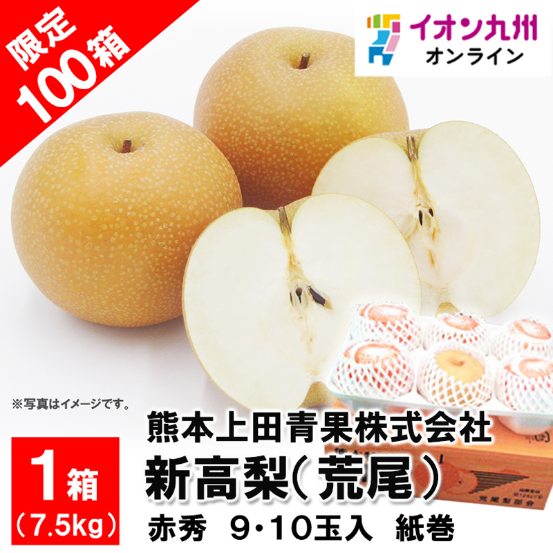 熊本県荒尾産 新高梨（荒尾） 7.5kg 赤秀 9～10玉入 | 【公式