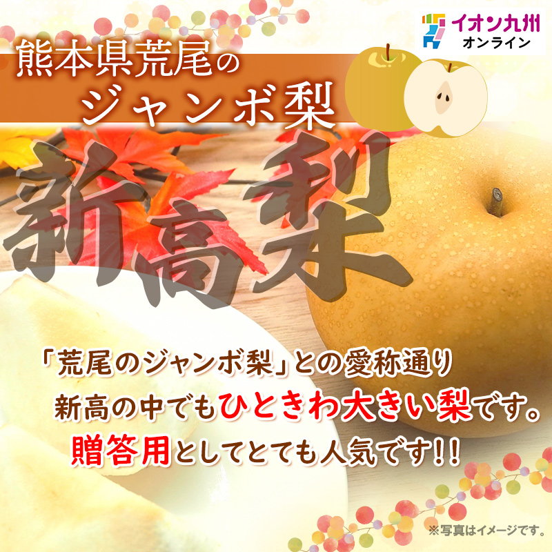 熊本県産新高梨約10kg 新高梨【熊本県産】10〜36玉 約10kg ナシ 果物 くだもの 期間