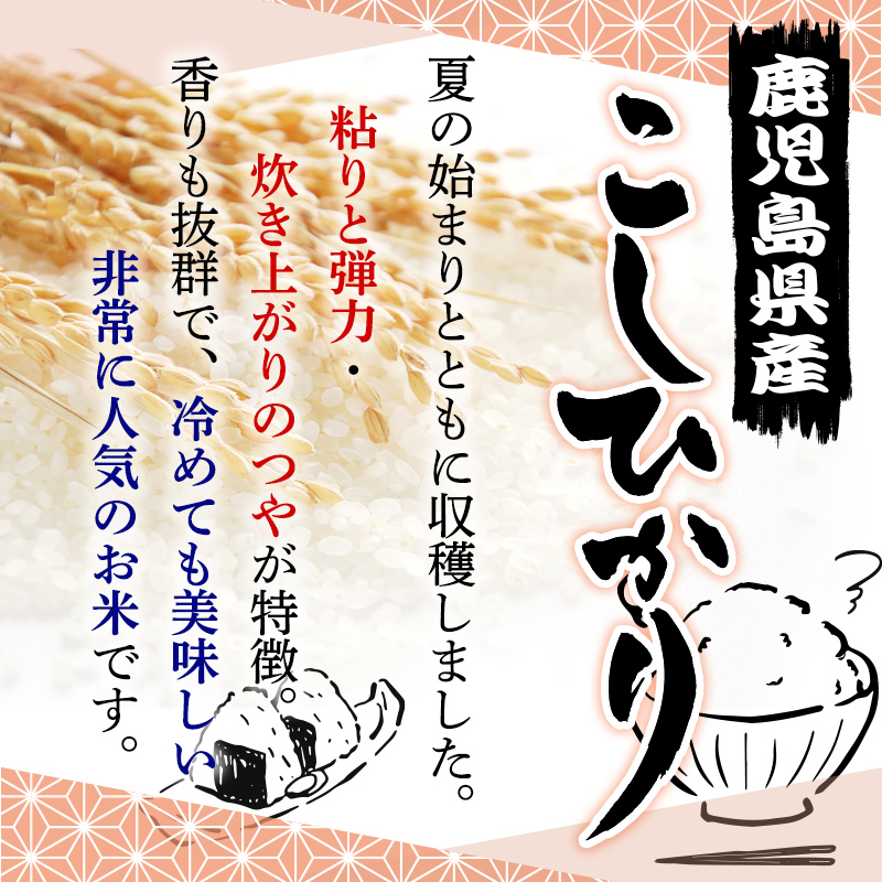 米/穀物鹿児島県産コシヒカリ 10kg×2袋