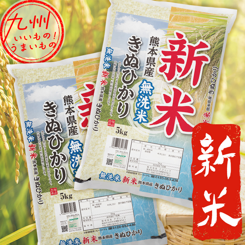 【令和5年産】新米　無洗米 熊本県産きぬひかり 10kg（5kg×2袋）
