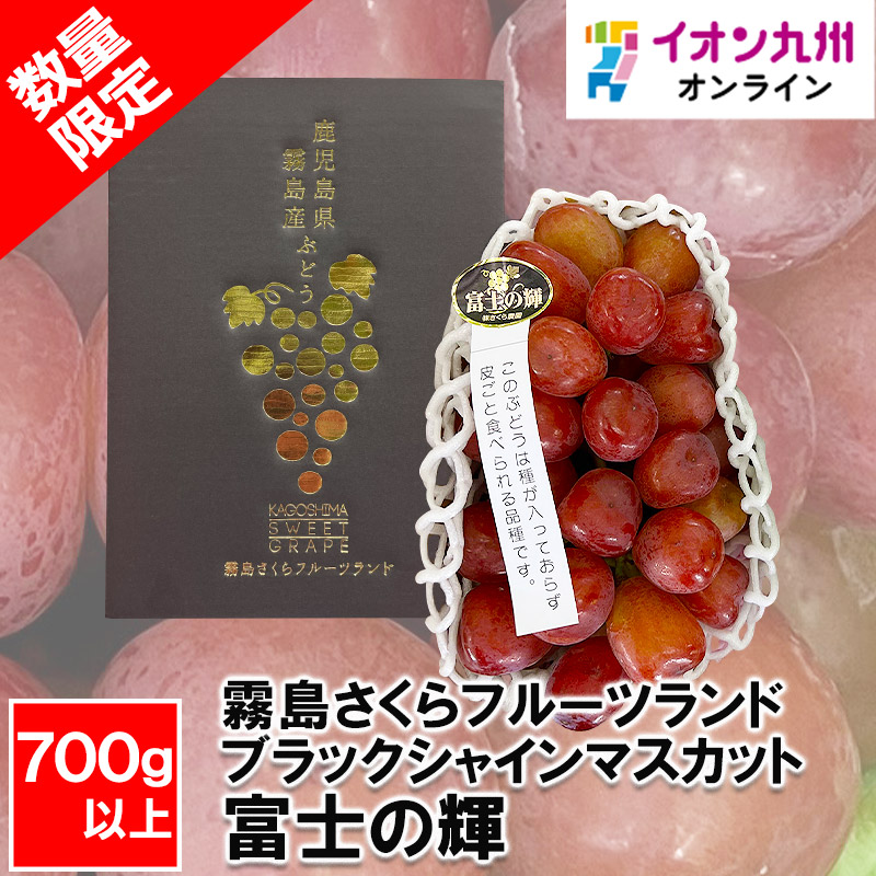 ブラックシャインマスカット【富士の輝】霧島さくらフルーツランド