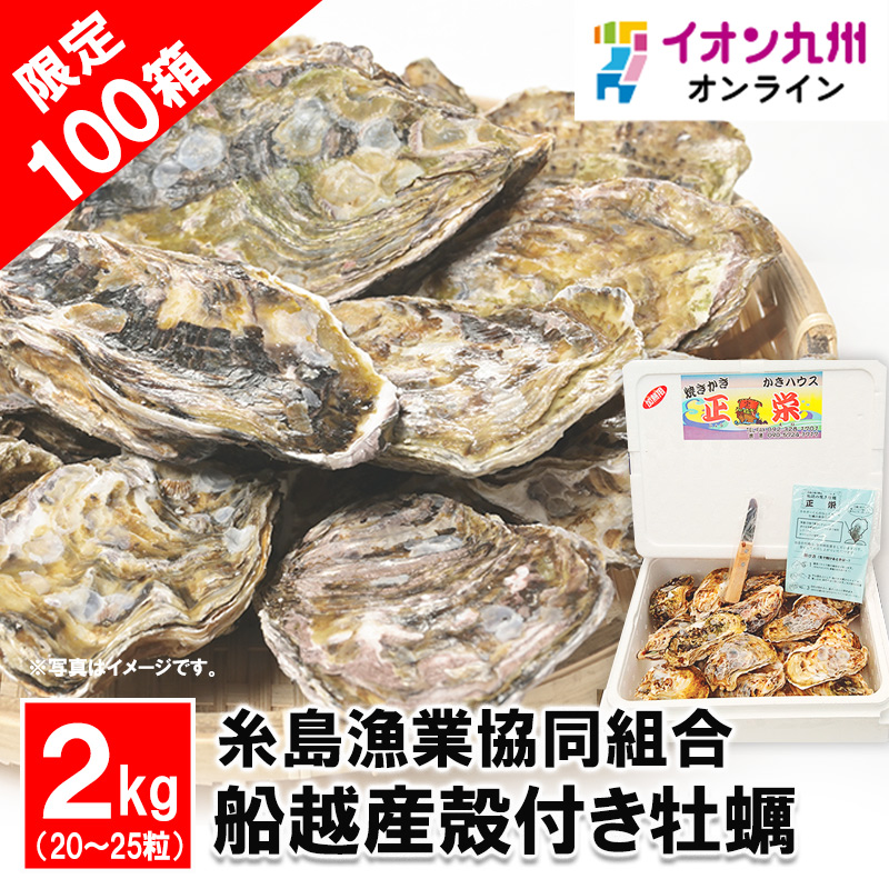 船越産殻付き牡蠣2kg