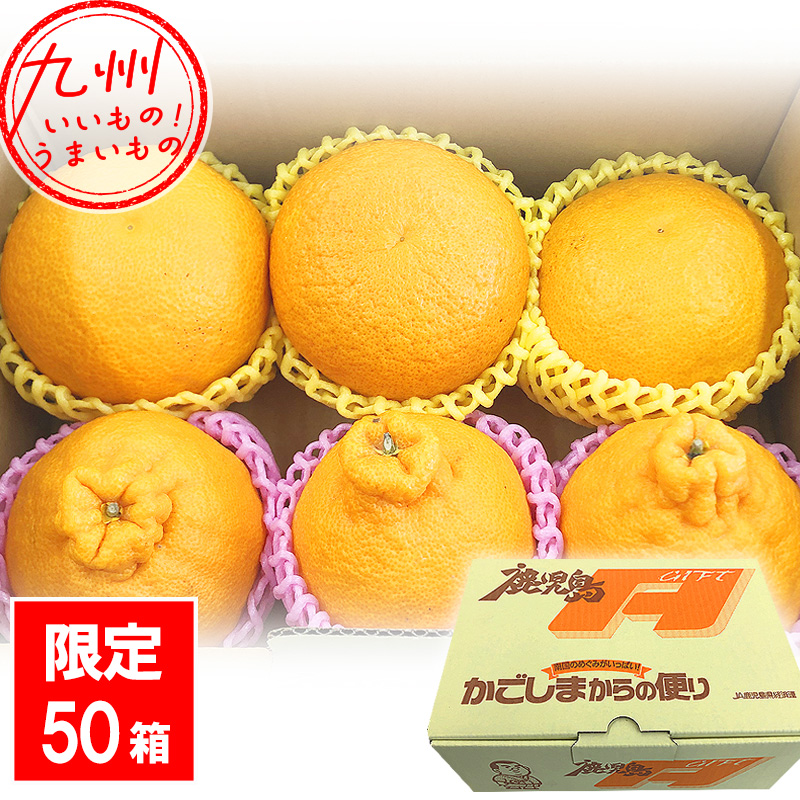 鹿児島県産 柑橘セット（大将季2Lサイズ3個＋紅甘夏Lサイズ3個