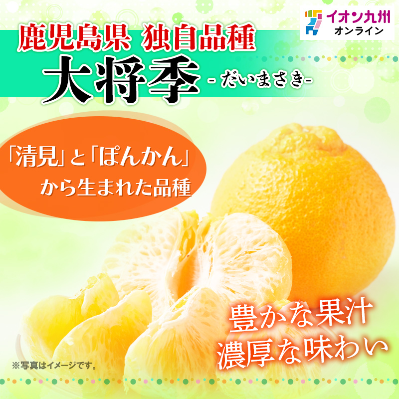 鹿児島県産 柑橘セット（大将季2Lサイズ3個＋紅甘夏Lサイズ3個